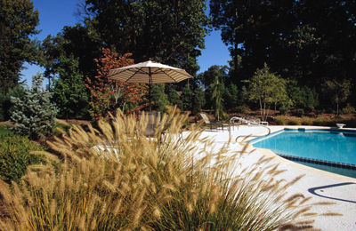 Landscaping Your Pool, Landscape Maintenance Services, Residential Design
